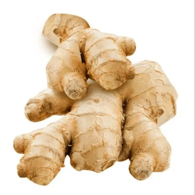 GINGER (ADRAK)